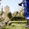 What Is Landscaping?