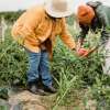 Keep Your Property in Top Shape All Year Long: Why Seasonal Services Matter